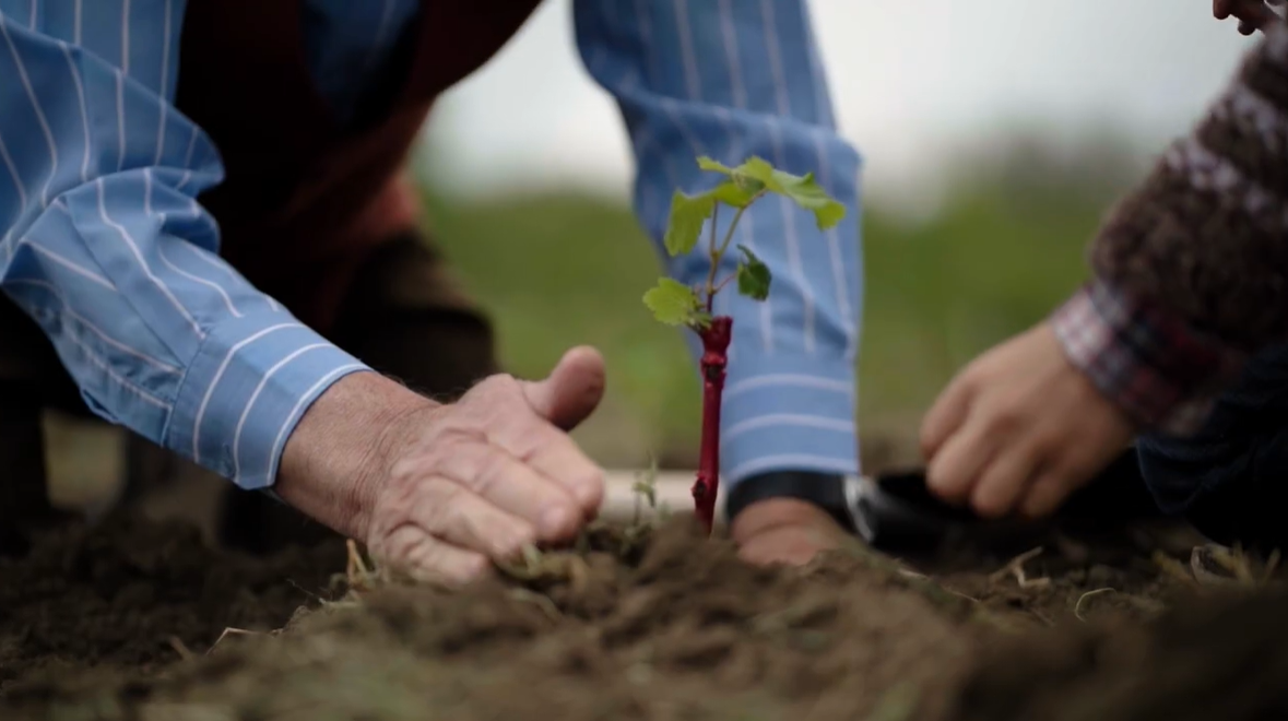 Illustration Préserver